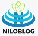 سربازان ولایت